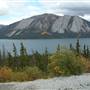 Bove Island