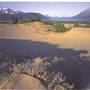 Carcross Desert
