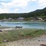 Carcross Summer