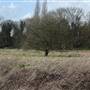 South Norwood Country Park