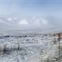 Dempster Winter