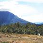 Haines Junction Field