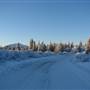 Jackson Lake
