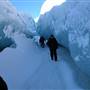 Llewellyn Glacier