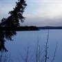 Marsh Lake