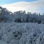 Mary Lake Area