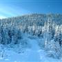 Mt MacIntyre November