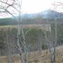 Takhini Highlander Farm