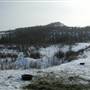 Yukon Wildlife Preserve