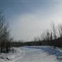 Yukon Wildlife Preserve
