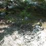 Wolf Creek Campground