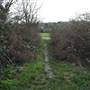 Poverest Park