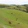 Alto Bowl Open Space Preserve
