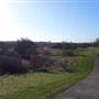 Hornchurch Country Park