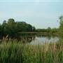 Bedfont Lakes Country Park