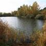 Bedfont Lakes Country Park