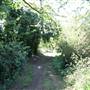 Hounslow Heath