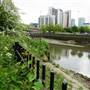 Bow Creek Ecology Park