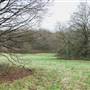 Arrandene Open Space