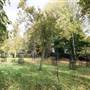 Old Court House Park