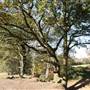 Scratchwood Nature Reserve