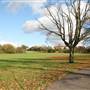 Sunny Hill Park