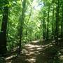 Little Mulberry Park