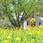 McDaniel Farm Park