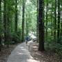 Mountain Park Park