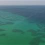 Mangrove Forest - غابة المانجروف في فرسان