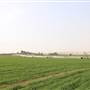 Green Circular Farms - Meegowa  - المزارع الدائرية الخضراء - ميقوع