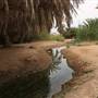 Well of Moses - عين موسى
