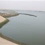 Asfar Lake - بحيرة الأصفر - الأحساء