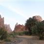 Wadi Al-Disah  - وادي الديسة