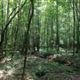 Tribble Mill Park
