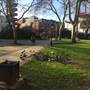 Dovehouse Green