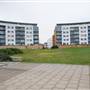 Thamesmead - Miles Drive