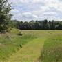 Gunnersbury Park - Gardens