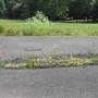 Gunnersbury Park - Disused Area