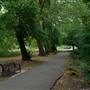 Friary Park