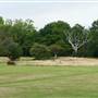 Tudor Park