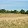 Brockwell Park