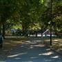 Whittington Park (and football pitch)