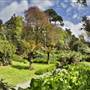 Trebah Gardens
