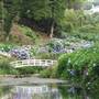 Trebah Gardens
