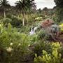 Tresco Abbey Gardens