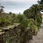 Tresco Abbey Gardens