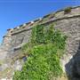 The Folly @ Mount Edgecumbe