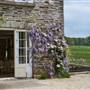 Boconnoc