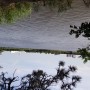 Upscale Hotel By the River